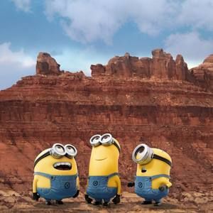 Meet your Posher, Terry